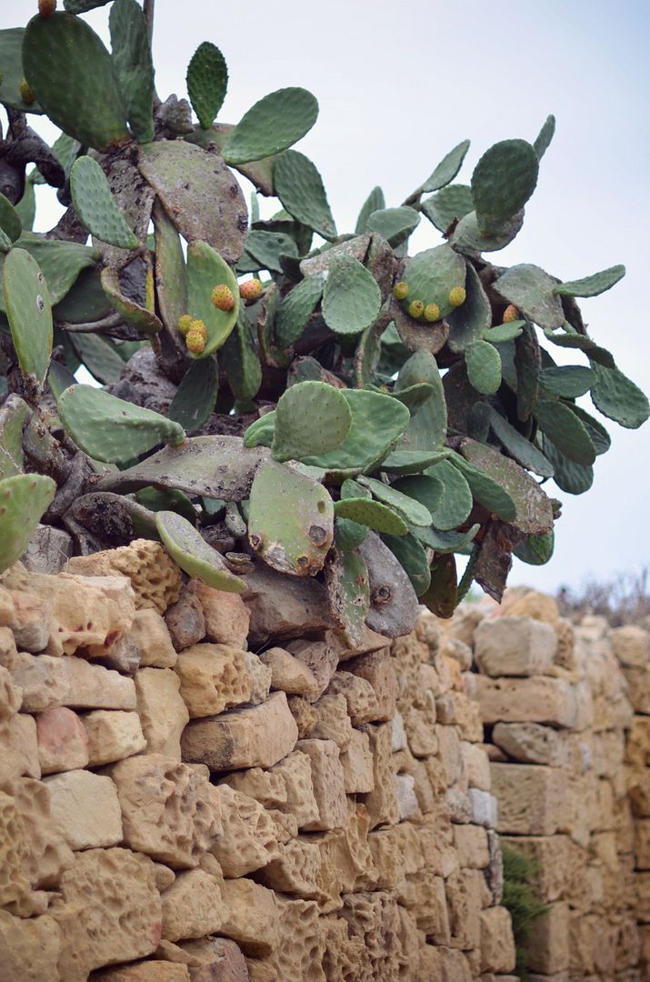 Let's go to Gozo travel trip bloggers Malta Helloitsvalentine photos