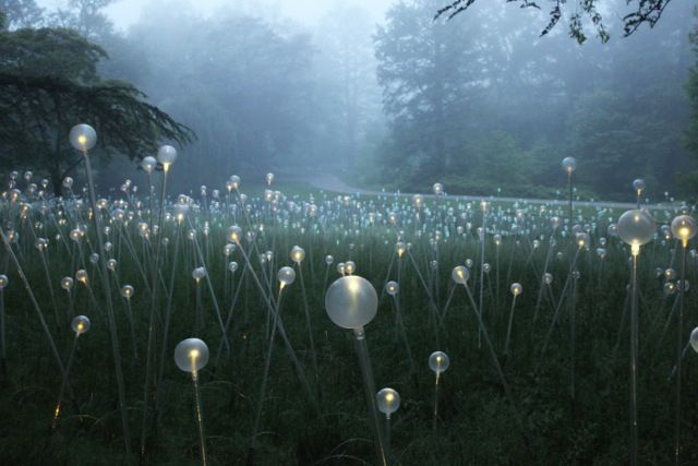 Light installations by bruce munro at longwood gardens 04