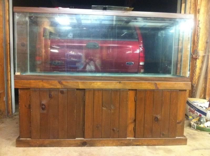 Fluval 403 canister filter thoughts? Habitats and Equipment