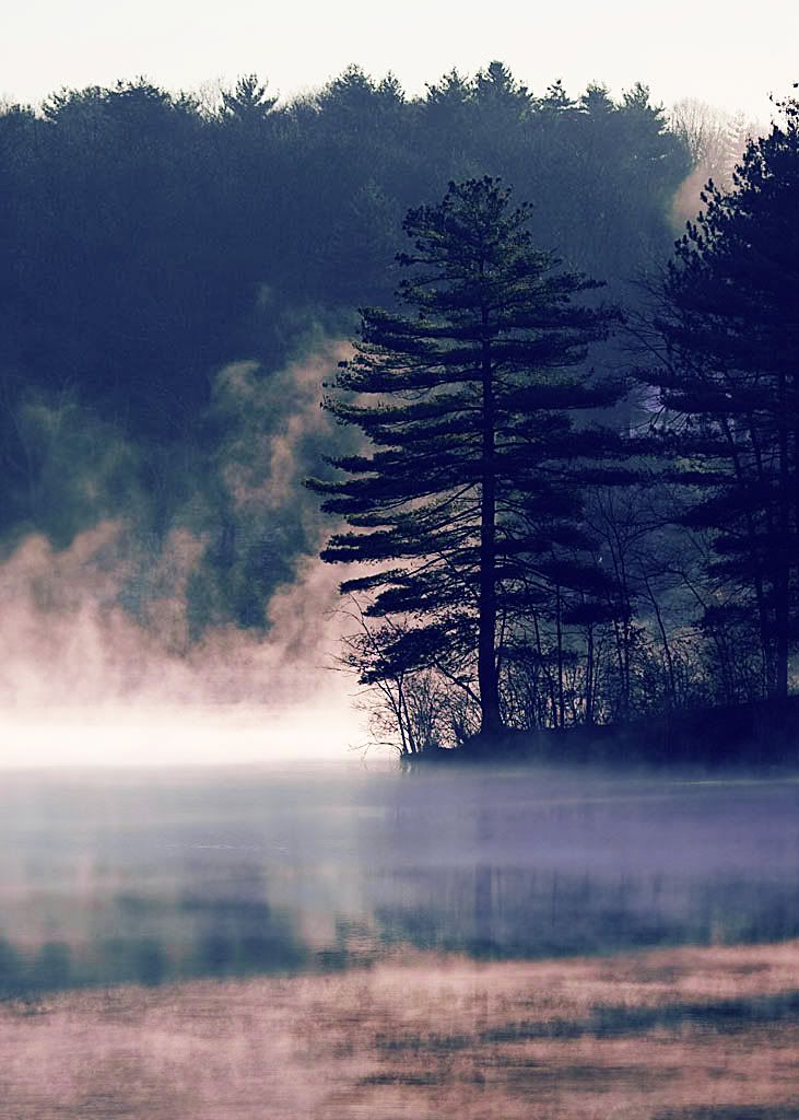 IMAGE: http://i51.photobucket.com/albums/f392/lifeuntome/p213518071.jpg