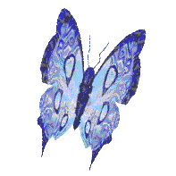 Papillonbleu.gif picture by maddyspace