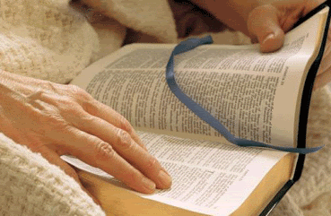 lecturebible.gif readindbible picture by maddyspace