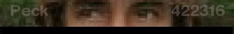 Peckbanner1.jpg
