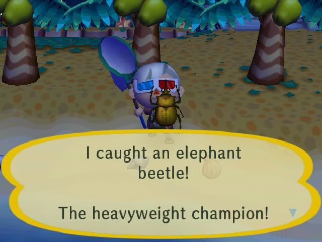 elephantbeetle.jpg