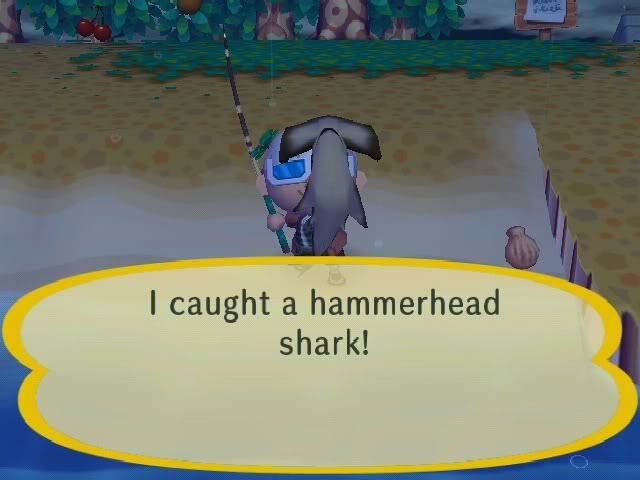 hammerhead1.jpg