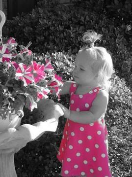 pink.jpg pink image by x0dannyxo123