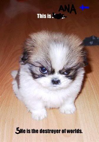 Image hosting by Photobucket