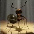 Image hosting by Photobucket