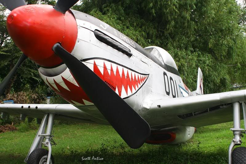 http://i51.photobucket.com/albums/f394/tartanpics/Asia%202007/190907_3733_P-51D_Mustang_2.jpg