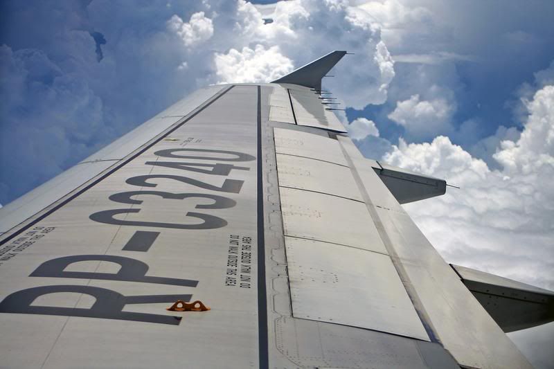 http://i51.photobucket.com/albums/f394/tartanpics/Asia%202007/Cebu_wing.jpg