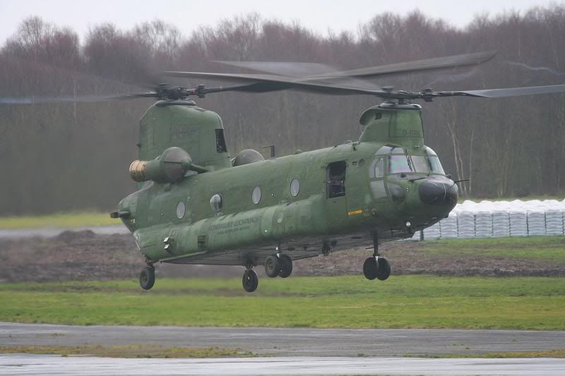 http://i51.photobucket.com/albums/f394/tartanpics/album%204/200208_D-666_Chinook_3.jpg