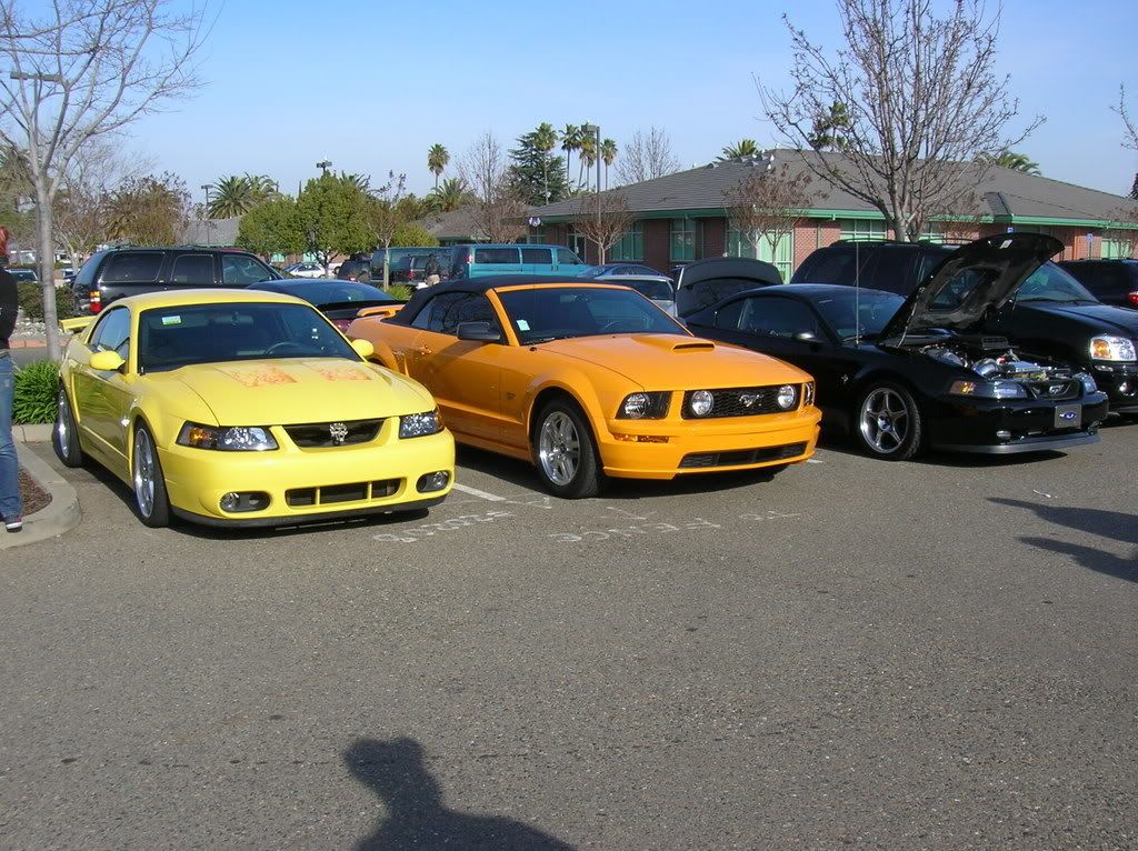 mustanggtg002.jpg