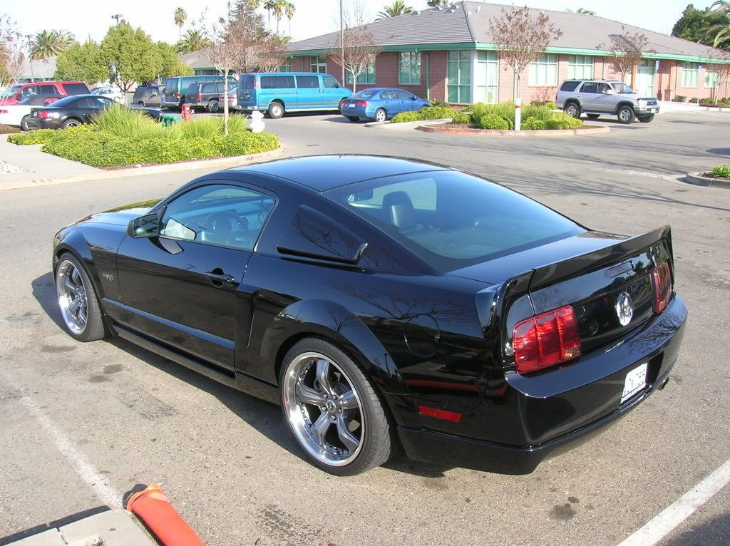 mustanggtg006.jpg