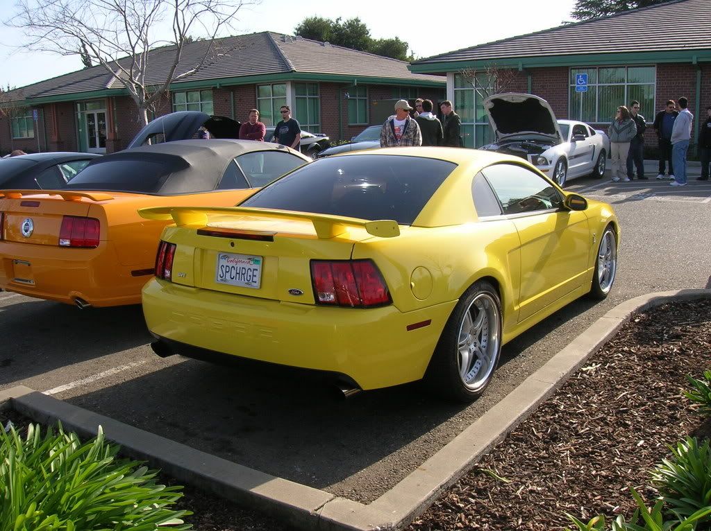 mustanggtg011.jpg