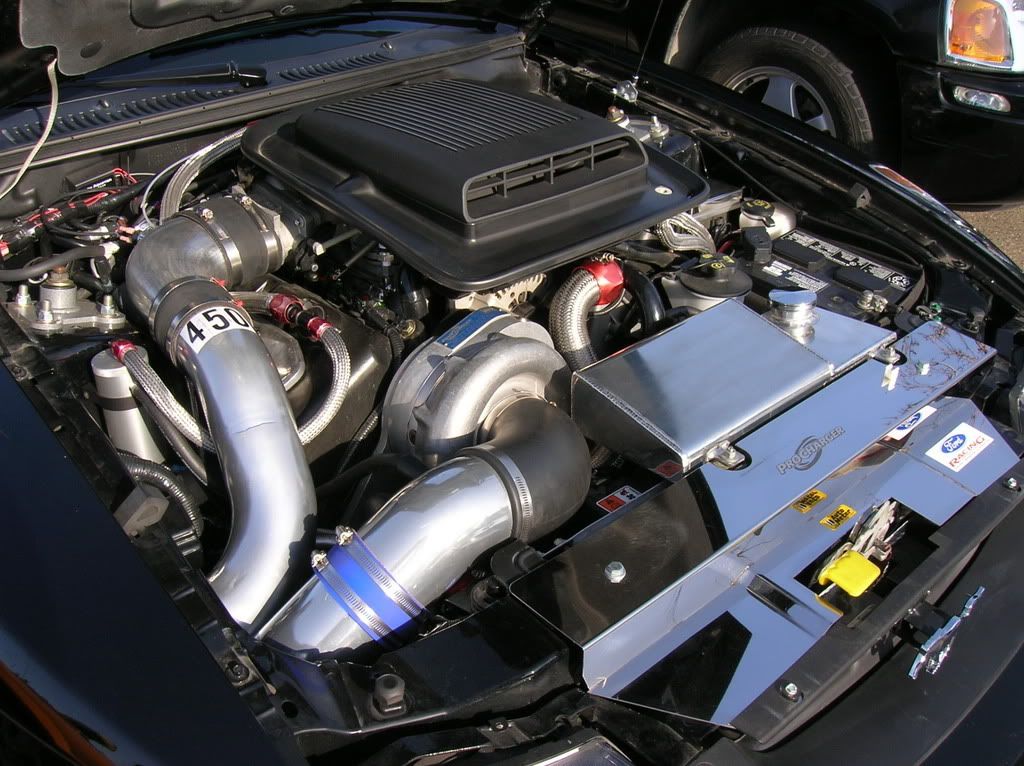 mustanggtg015.jpg