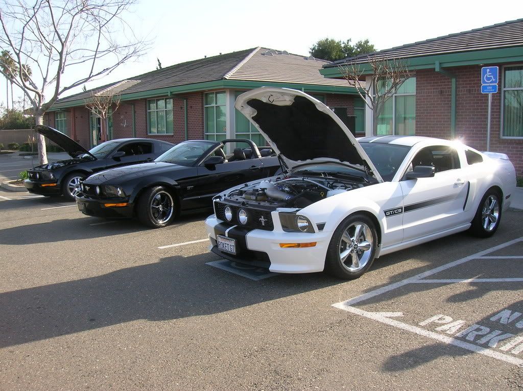 mustanggtg017.jpg