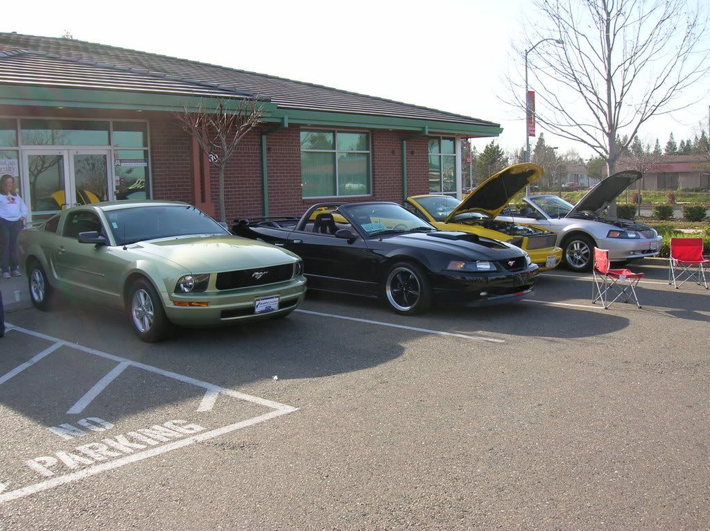 mustanggtg019.jpg