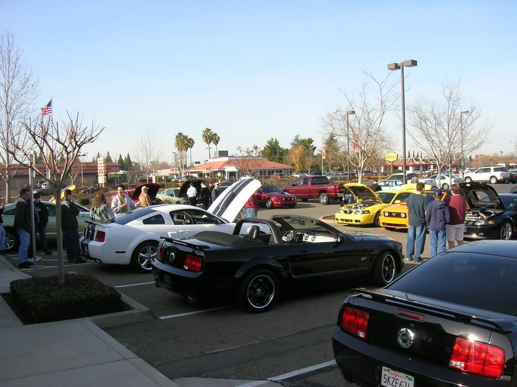 mustanggtg024.jpg