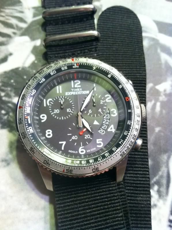 timex t49823