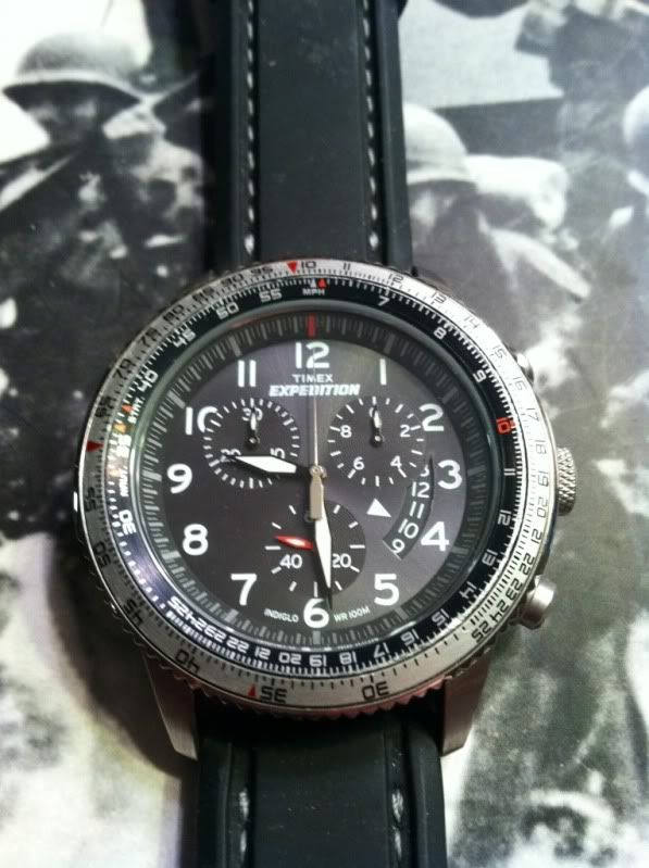 timex t49823