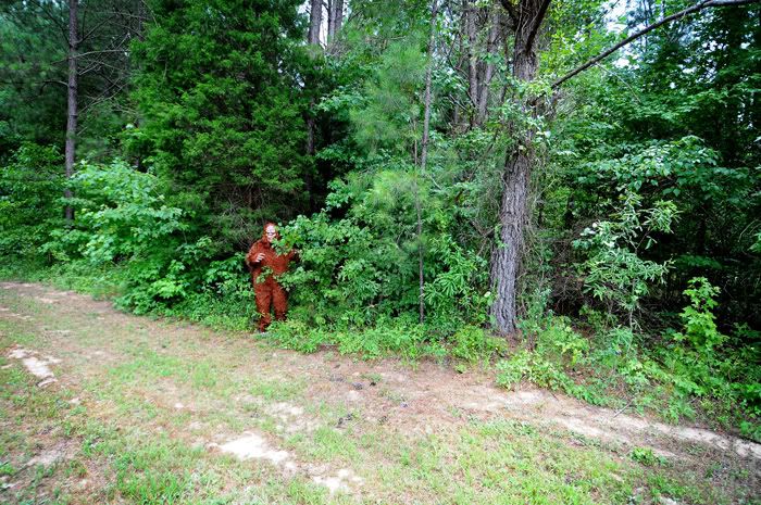 Bigfoot In Alabama