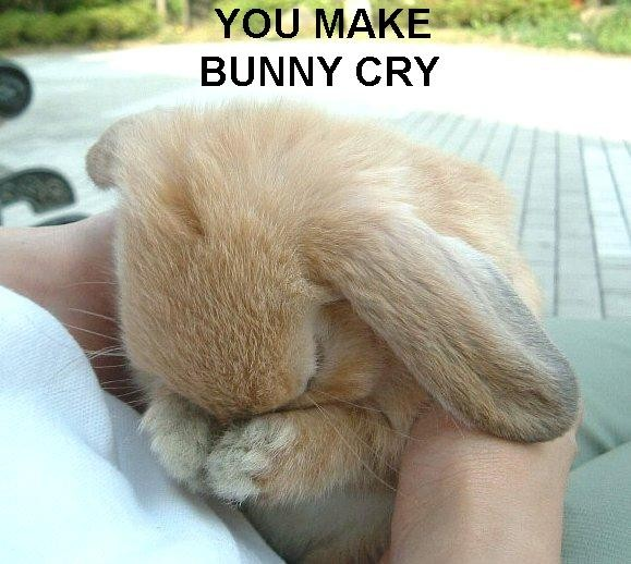 youmakebunnycry_zps37c72eed.png