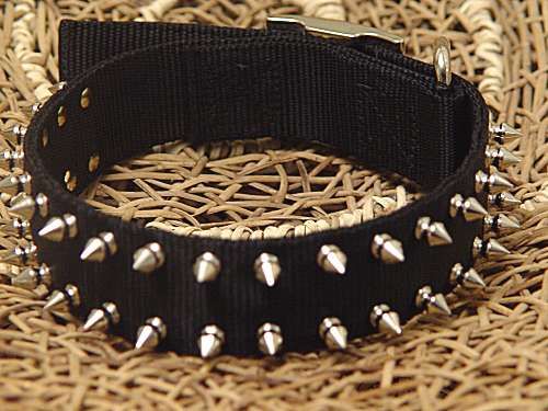 http://i51.photobucket.com/albums/f397/spike1111/nylon-spiked-dog-collar.jpg