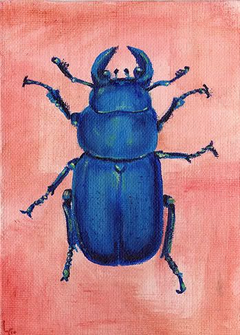 beetle345.jpg