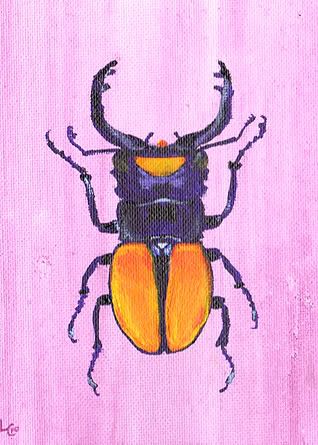 beetle359.jpg