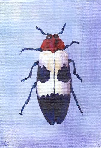 beetle360.jpg