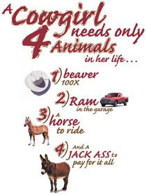 Cowgirl Numbers