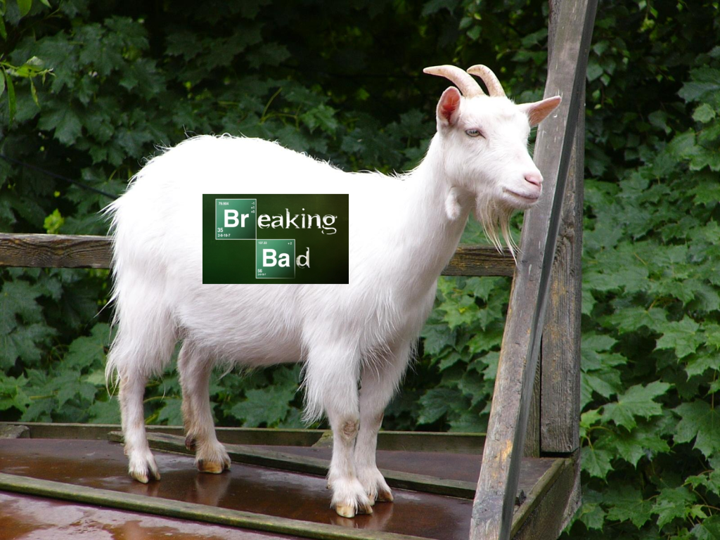 THEGOAT.png