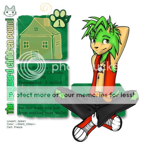 User Image