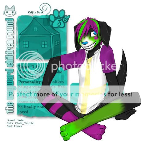 User Image