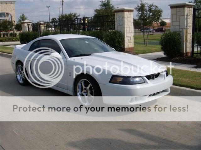 2001 Ford mustang cobra performance #5