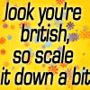 Look, you're British ~ so scale it down a bit (LJ userpic)