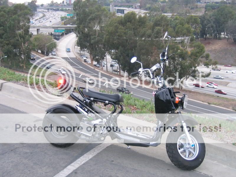 RuckusGolf002.jpg