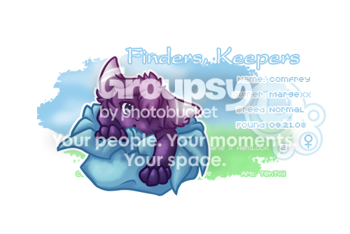 User Image