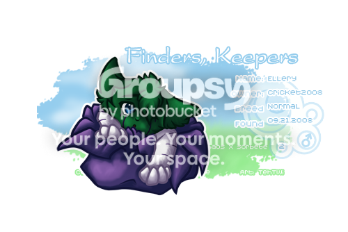 User Image