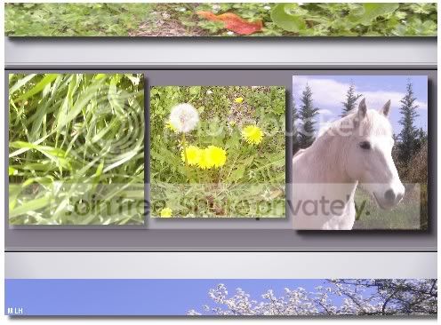 Image hosting by Photobucket