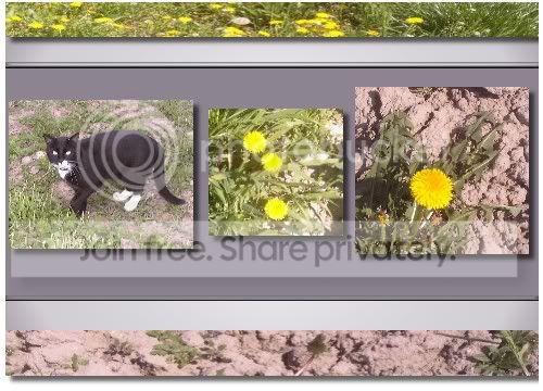 Image hosting by Photobucket