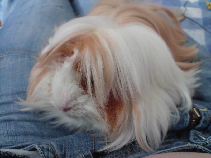 DSC00014.jpg