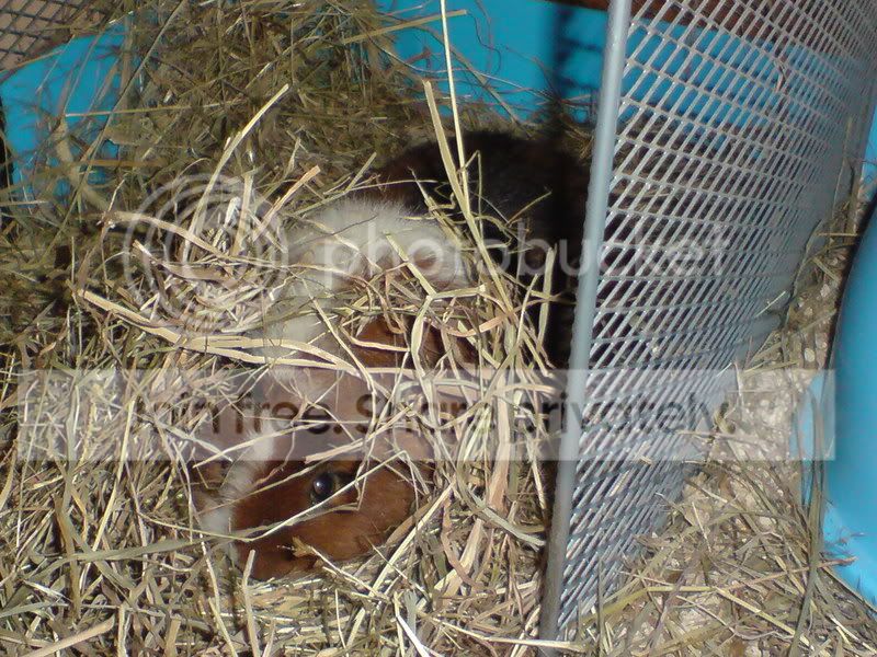 DSC00042.jpg