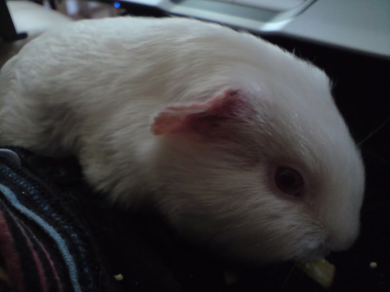 DSC00054.jpg