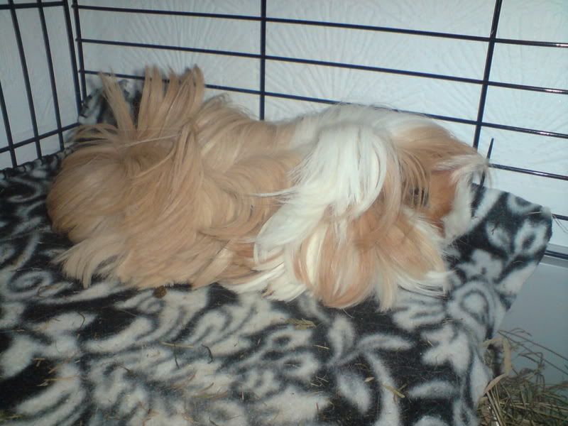 DSC00075.jpg
