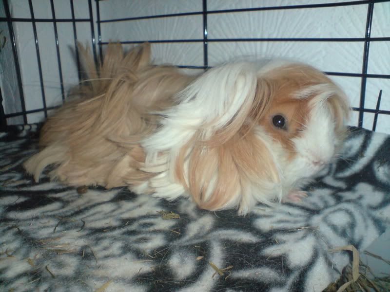 DSC00076-1.jpg
