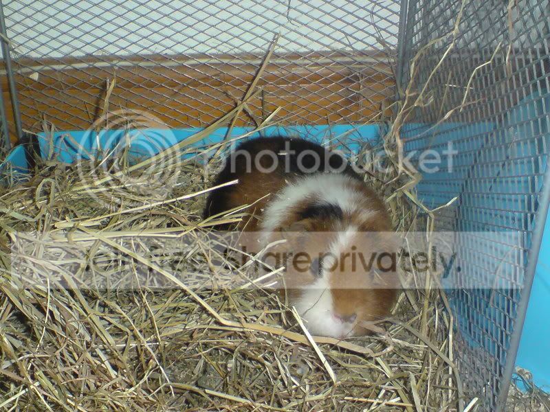 DSC00076.jpg