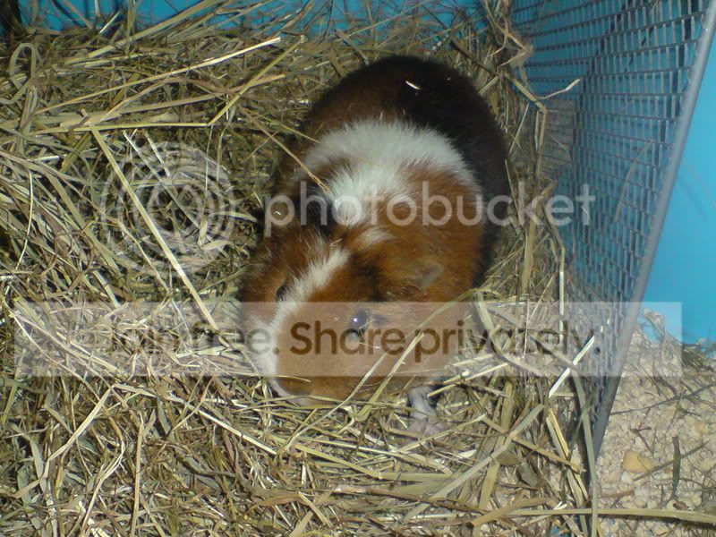 DSC00077.jpg