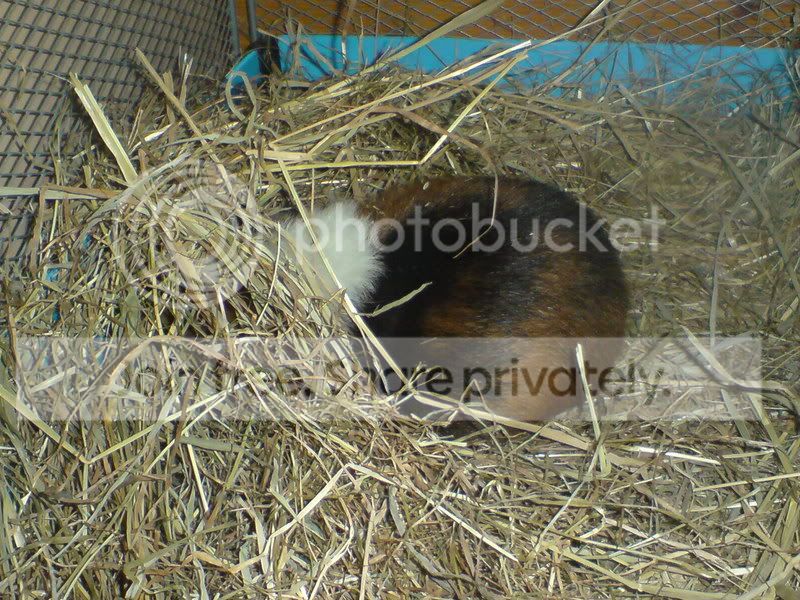 DSC00078.jpg