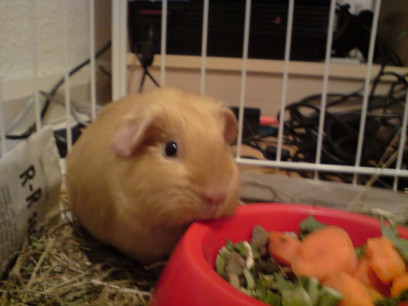 DSC00111.jpg